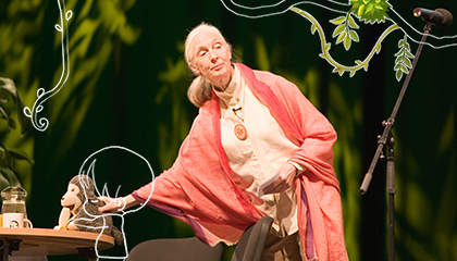 A case study brief about the design support provided for Jane Goodall Institue’s Indian initiative.